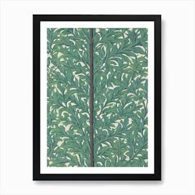 Atlas Cedar 2 tree Vintage Botanical Art Print