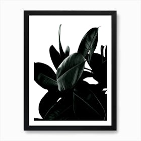 Wild Jungle Green Póster
