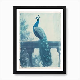 Vintage Peacock On A Banister Cyanotype Inspired 4 Art Print