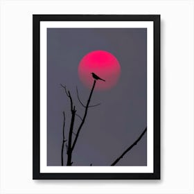 Silhouette Of A Bird Art Print