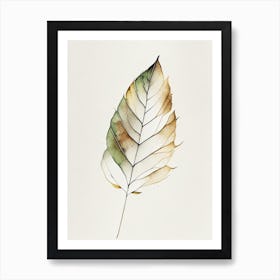 Birch Leaf Minimalist Watercolour Art Print