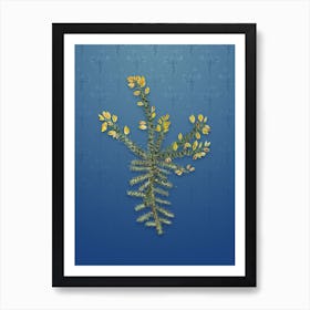 Vintage Yellow Gorse Flower Botanical on Bahama Blue Pattern n.0933 Art Print