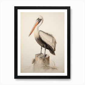 Vintage Bird Drawing Brown Pelican 1 Art Print