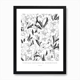 Freesia B&W Vintage Botanical Poster Art Print