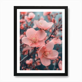 Pink Cherry Blossoms Art Print