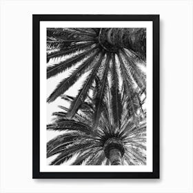 Venice Palms Art Print