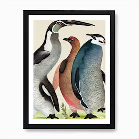 Galapagos Penguin Vintage Graphic Watercolour Art Print