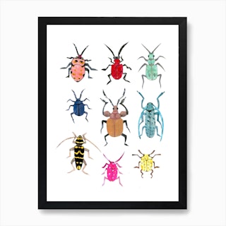 Bussy Beetles Colourful Art Print