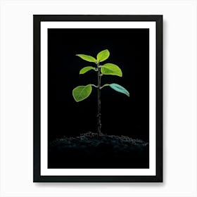 Small Green Plant On Black Background 26 Art Print