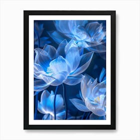 Lotus Flower 12 Art Print
