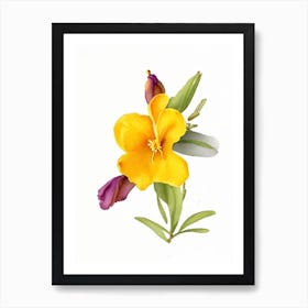 Sticky Monkeyflower Wildflower Watercolour Art Print