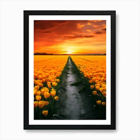 Yellow Tulips At Sunset Art Print