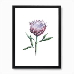 Watercolor Protea Bloom Art Print