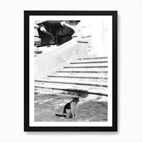 Cat Of The Mansion, Black And White St Sebastian, Spain Art Print