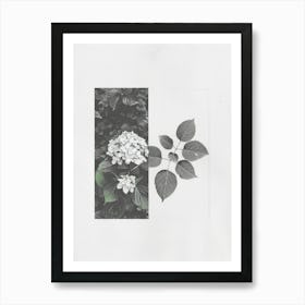 Hydrangea Flower Photo Collage 3 Art Print