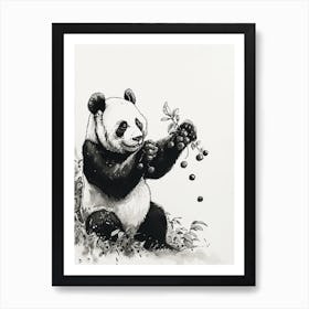 Giant Panda Standing And Reaching For Berries Ink Illustration 1 Art Print