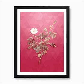 Vintage White Downy Rose Botanical in Gold on Viva Magenta n.0057 Art Print