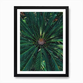 Green Tropicals Art Print