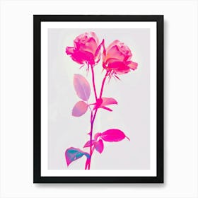 Hot Pink Rose 4 Art Print