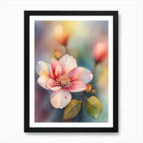 Magnolia Flower Art Print