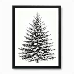 Fir Tree Pencil Sketch Ultra Detailed 5 Art Print