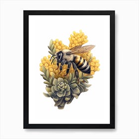 Northern Colletes Bee Beehive Watercolour Illustration 3 Art Print