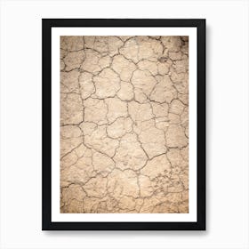 Cracked Dirt Background Art Print
