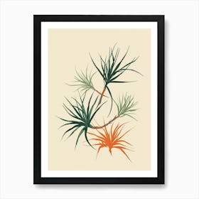 Air Plant Plant Minimalist Illustration 1 Art Print