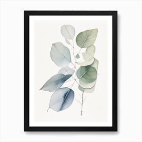 Eucalyptus Illustration Art Print