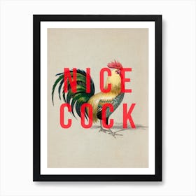 Nice Cock Art Print