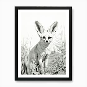 Fennec Fox In A Field Pencil Drawing 2 Art Print