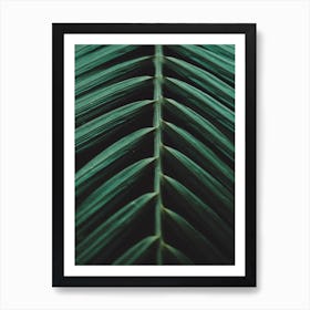Green Palm Leaf Ii Art Print