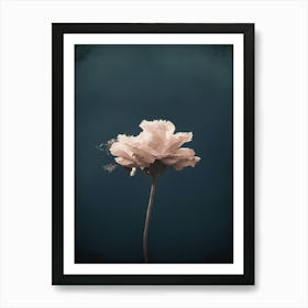 carnation flower Art Print