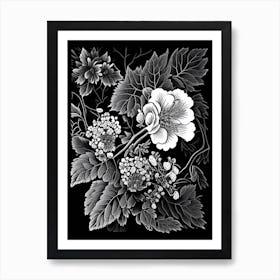 Blackberry Blossom Wildflower Linocut 1 Art Print