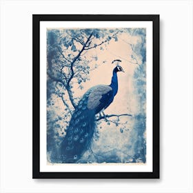 Blue & White Peacock On A Tree Cyanotype Art Print