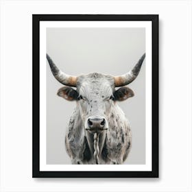 Longhorn Bull Art Print