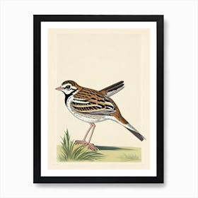 Lark Illustration Bird Art Print