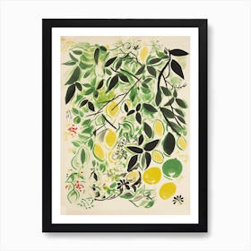 Lime Fruit Drawing 5 Art Print