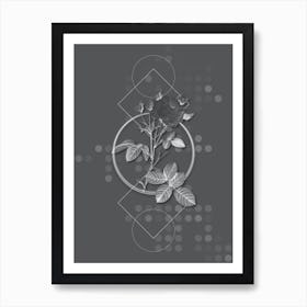 Vintage White Provence Rose Botanical with Line Motif and Dot Pattern in Ghost Gray Art Print