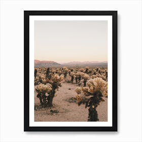 Cholla Cactus Sunset Art Print