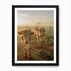Close Encounters with the Cows Art Print