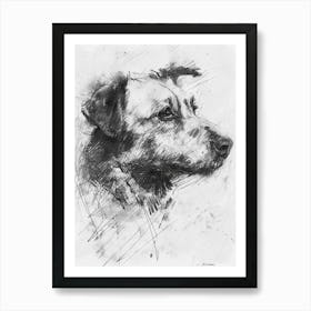 Pyrenean Shepherd Dog Charcoal Line 2 Art Print