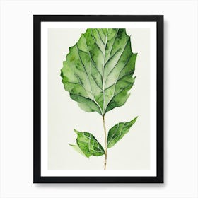 Wild Lettuce Leaf Minimalist Watercolour 1 Art Print