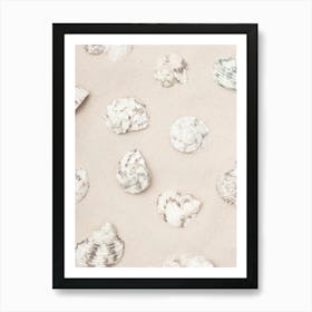 Shells in the sand_2110341 Art Print