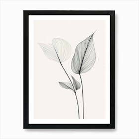 Line Drawing Of A Leaf 11 Art Print