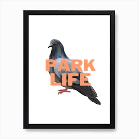 Park Life Pigeon Art Print
