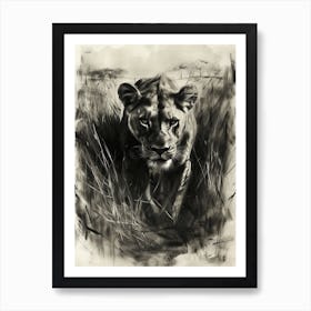 African Lion Charcoal Drawing Hunting 3 Art Print