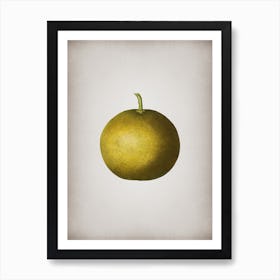 Vintage Adam's Apple Botanical on Parchment n.0724 Art Print