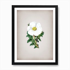Vintage Mexican Poppy Flower Branch Botanical on Parchment n.0433 Art Print