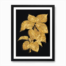 Vintage White Mulberry Plant Botanical in Gold on Black n.0491 Art Print